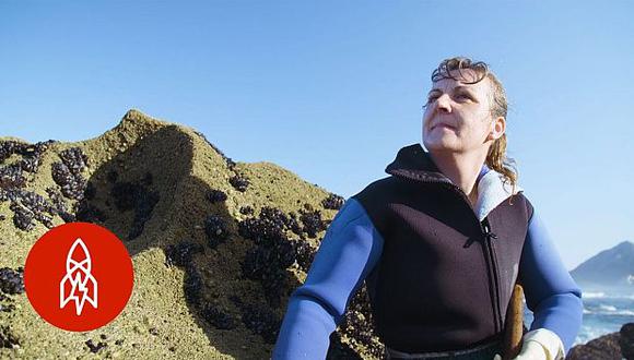 Las hermanas González son percebeiras, cazan percebes en las costas rocosas atlánticas de Galicia, España, cuenta la serie de YouTube Great Bog Story. (Foto: YouTube)