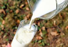 ¿Sabías que el consumo de leche puede ayudar a prevenir el Alzheimer?