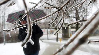 Bajas temperaturas congelan a Toronto e interrumpen el suministro eléctrico [FOTOS]