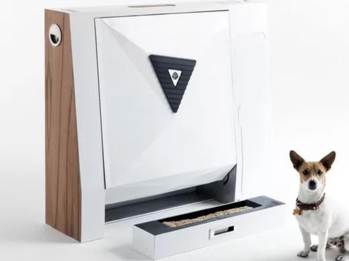 Inubox, el primer inodoro inteligente para perros del mundo, REDES-SOCIALES
