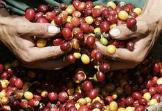 Perú posicionará cafés de calidad en mercados internacionales