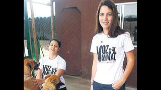 Conoce a las dos chicas detrás del albergue Voz Animal