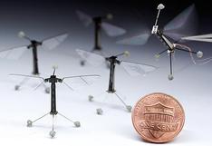 RoboBee: crean un diminuto robot abeja que te dejará anonadado