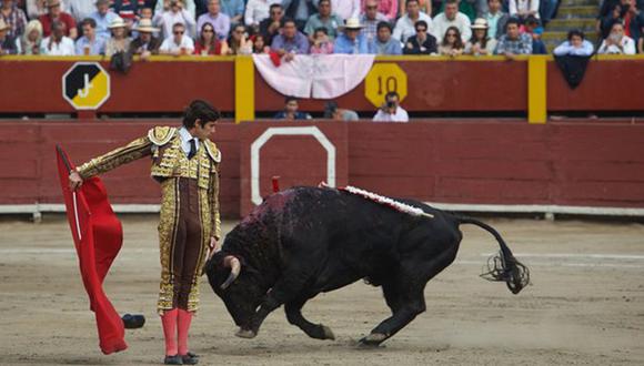 "La solución a esta polémica no pasa por definir si hay tradición cultural o no, o si hay violencia o no; sino en la ponderación. ¿Es justificable la violencia contra los animales por el ejercicio del derecho de expresión cultural?"