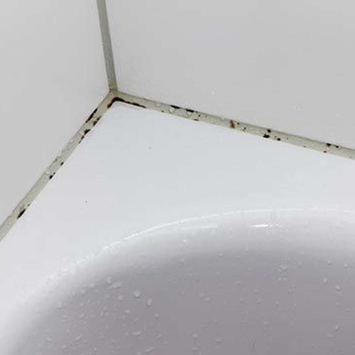 Trucos caseros para quitar el moho acumulado en el techo del baño