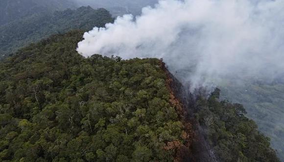 Un incendio forestal se registra en el camino de Tarapoto a Yurimaguas, en San Martín. (Foto: Difusión)