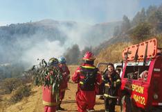 Incendios forestales: más de mil hectáreas afectadas en tres regiones