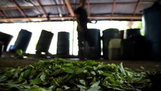 La insospechada crisis del negocio de la cocaína en Colombia; ¿por qué no hay compradores?