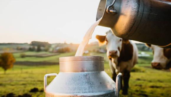 Conoce porqué se celebra el Día Mundial de la Leche, quién instauró la efemérides, y desde cuándo es conmemorado para valorar la importancia del lácteo. (Foto: iStock)