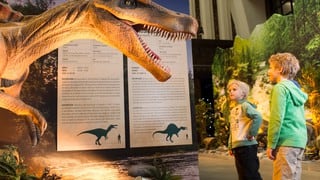 Exhibición de dinosaurios llega a Lima: fechas y precio de entradas 