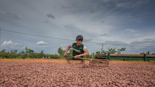 Café y cacao de exportación usan datos de origen inexactos