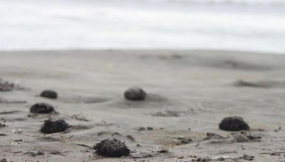 Erizos vararon en playa de Trujillo y afectaron a bañistas