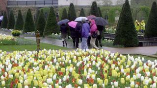 Keukenhof: reino de colores y aromas en el mayor jardín floral de Holanda 