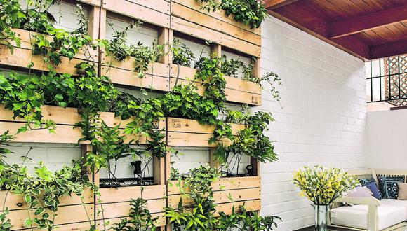 Las palets incluso sirven para revestir paredes y hacer jardines verticales. Protege la madera con dos manos de barniz marino. (Foto: Jaime Gianella)