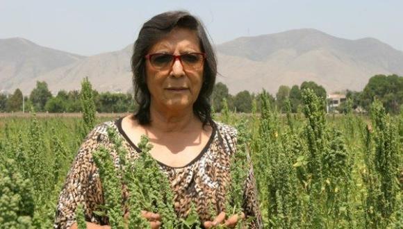 “Necesitamos más variedades de semillas de granos andinos”