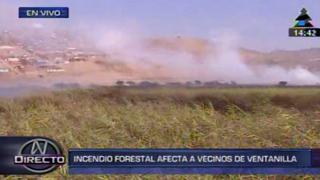 Ventanilla: incendio forestal lleva tres días dañando humedales