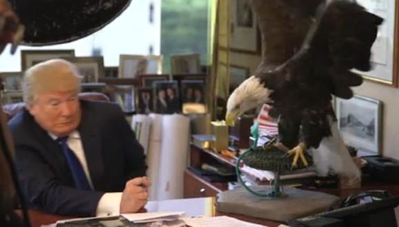 Estados Unidos: Un águila llamada Tío Sam atacó a Donald Trump | MUNDO | EL  COMERCIO PERÚ
