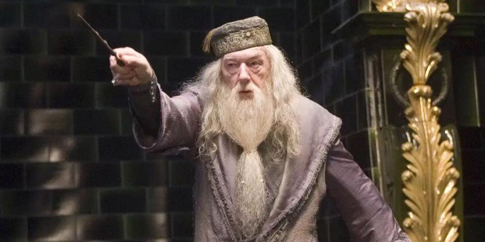 Albus Dumbledore, el director de la escuela de Hogwarts de magia y hechicería, fue interpretado por dos actores: Richard Harris, en las dos primeras entregas, y Michael Gambon, quien se encarga de continuar la saga. Este director y profesor, se caracteriza por su sabiduría, paciencia y carisma. Es uno de los referentes más importantes para el protagonista, Harry Potter. Y al mismo tiempo es un personaje que termina siendo gris, por sus difíciles decisiones a lo largo de la trama.
