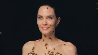 Angelina Jolie se deja ver con abejas en su cuerpo por una buena razón | VIDEO