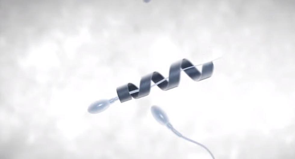 Un grupo de científicos en Alemania acaba de diseñar un nanorobot que ayudará a los espermatozoides lentos a llegar al óvulo. (Foto: Captura)