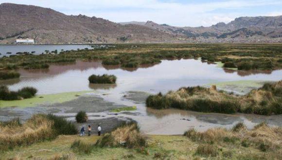 Lago Titicaca: preparan plan de recuperación ambiental