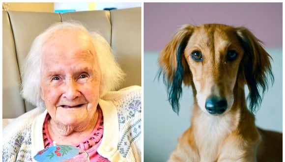 Ada Daniel, de Derbyshire, Inglaterra, reveló que el secreto de su larga vida fue tener perros en lugar de hijos. (Foto: Ashmere Derbyshire / Pexels)