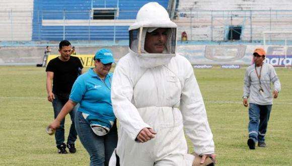 Un partido de fútbol fue suspendido por ataque de abejas