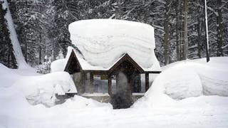 Los Ángeles cubierta de nieve tras una fuerte tormenta