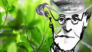 ¿Cómo Sigmund Freud introdujo la cocaína en la medicina europea?