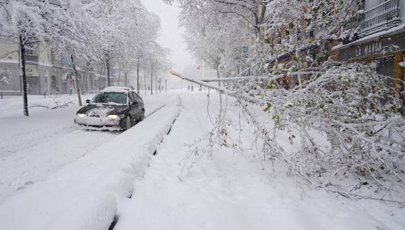 Un automóvil pasa junto a la rama rota de un árbol durante una fuerte nevada en Madrid, España, el 9 de enero de 2021. (REUTERS/Juan Medina).