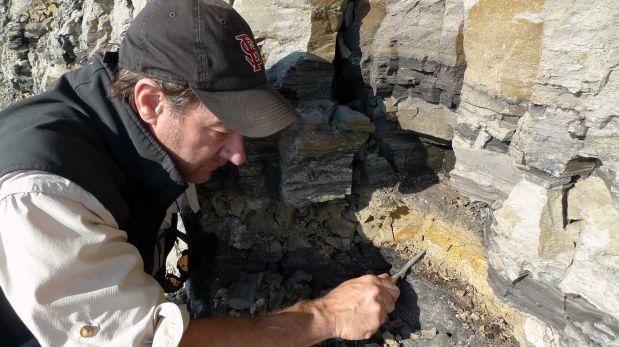 Científicos descubren en Alaska fósil de dinosaurio herbívoro - 2