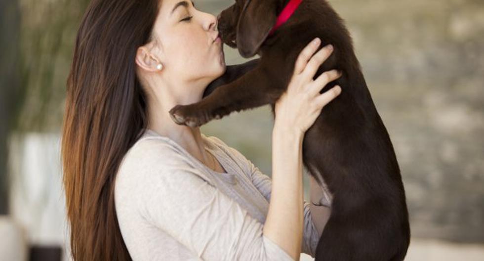 Debemos de cuidar la salud bucal de nuestras mascotas. (Foto: ThinkStock)