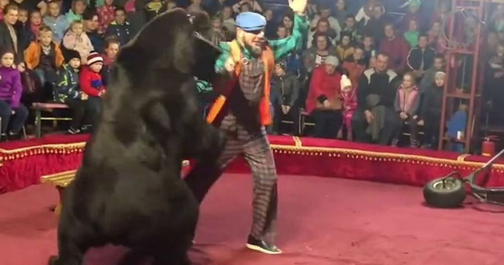 Así fue como el video de Facebook viral nos muestra el ataque del oso a su dueño tras obligarlo a jugar al 'albañil'. | East2West