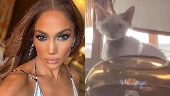Jennifer Lopez no solo mostró la decoración navideña de su mansión, sino también a su adorable gato. (Foto: @jlo / Instagram / Twitter / Composición)