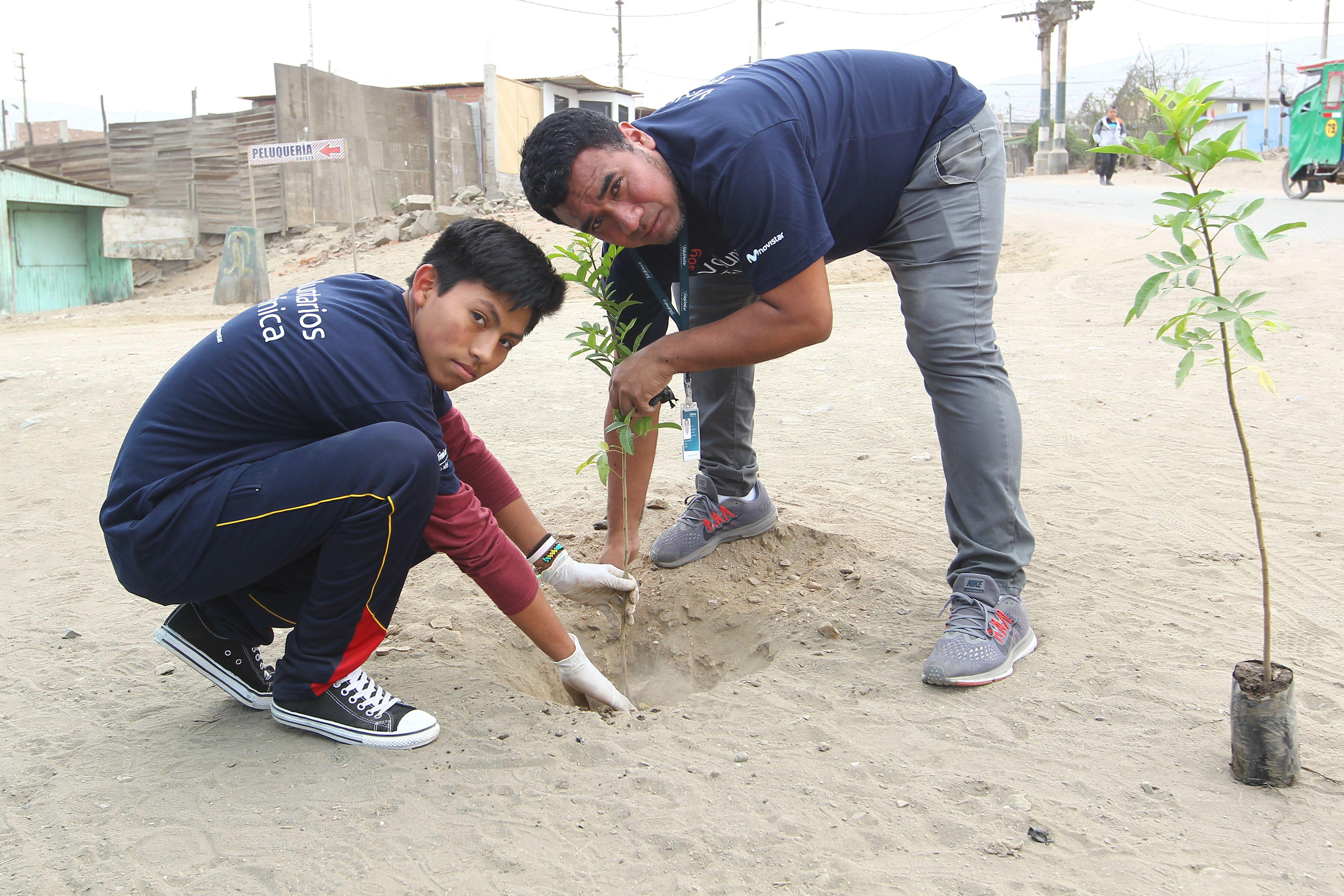 Voluntarios sembraron más de 2.400 árboles en Ventanilla (Foto: Fundación Telefónica).