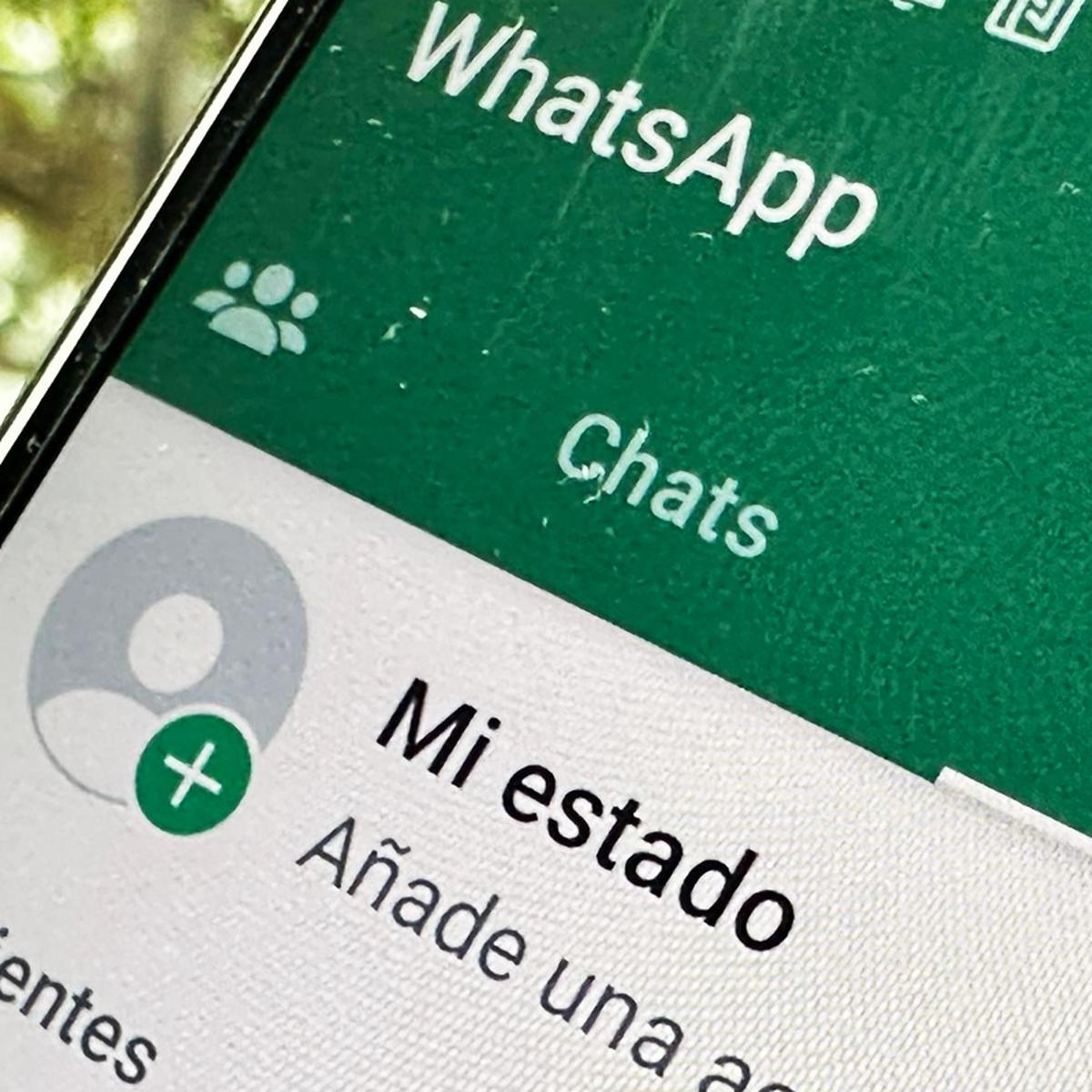 Ojo! Estas son las razones por las que no deberías instalar WhatsApp Plus  (u otras versiones) en 2024 •