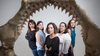 Conoce al grupo de mujeres que más sabe sobre tiburones en el Perú