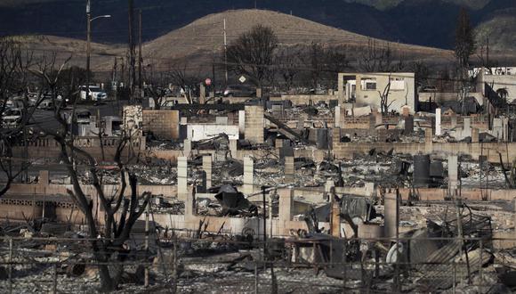 Árboles quemados y ruinas de casas es lo que queda tras el incendio de Lahaina que arrasó la ciudad, en Lahaina, Hawái, EE.UU.. EFE/EPA/ETIENNE LAURENT