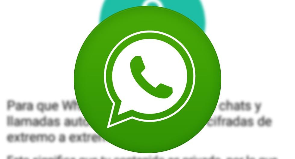 De esta forma es como puedes acceder al menú secreto de WhatsApp. Tienes que tener tu celular rotteado para poder realizar el truco. (Foto: Captura)