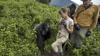 5 alucinantes tours en los que podrás convivir con animales