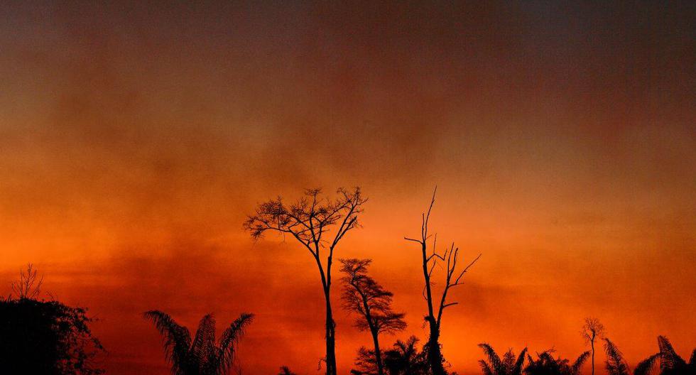El humo se eleva en una zona indígena del Mato Grosso, Brasil, el 6 de agosto de 2020. (Foto: CARL DE SOUZA / AFP)