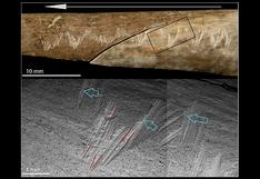 Hueso humano prehistórico con grabados muestra canibalismo ritualista