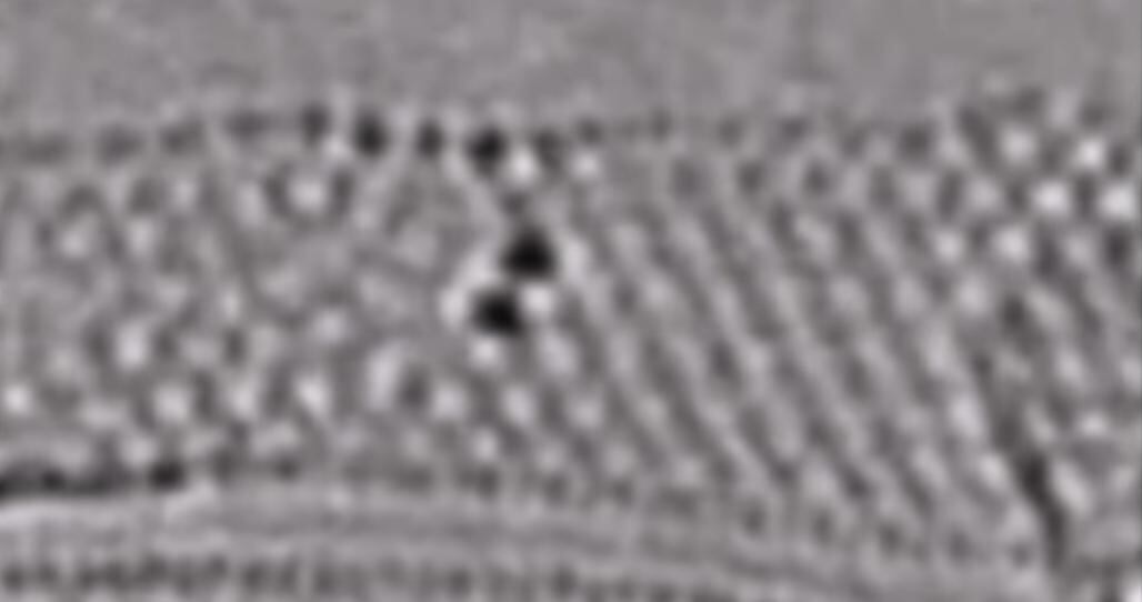 Para captar las imágenes se usaron métodos de microscopía avanzados. (Universidad de Nottingham)