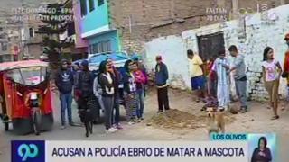 Los Olivos: detienen a policía acusado de matar a perro