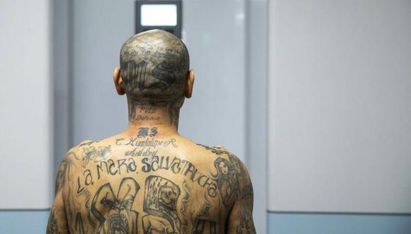 Cientos de presuntos pandilleros de la Mara Salvatrucha (MS-13) están establecidos en México (en la imagen, uno de sus miembros en la nueva megacárcel de El Salvador). (GOBIERNO DE EL SALVADOR)