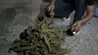 Argentina: niño de 7 años llevaba mochila llena de marihuana