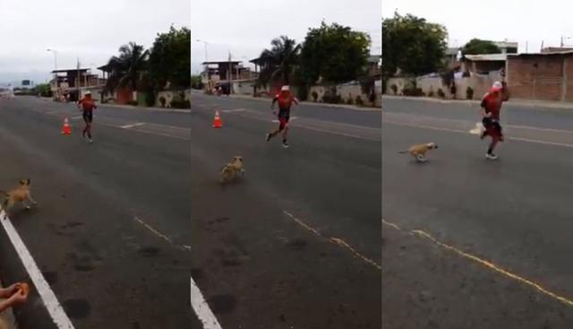 En Facebook se volvió viral el video de la divertida escena en la que un perro persigue a un maratonista durante competencia en México. Así reaccionaron las redes sociales. (Foto: Captura)