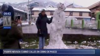 Pasco: intensa nevada cubre las calles y viviendas de la región