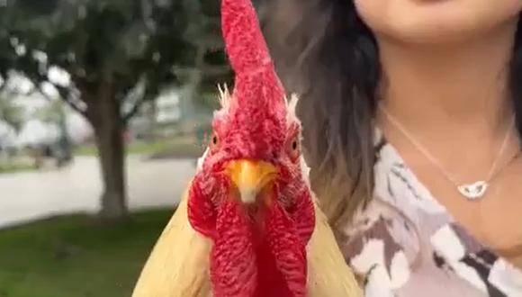 Claudio se encuentra bien de salud tras pasar por exámenes veterinarios. (Foto: Canal N)