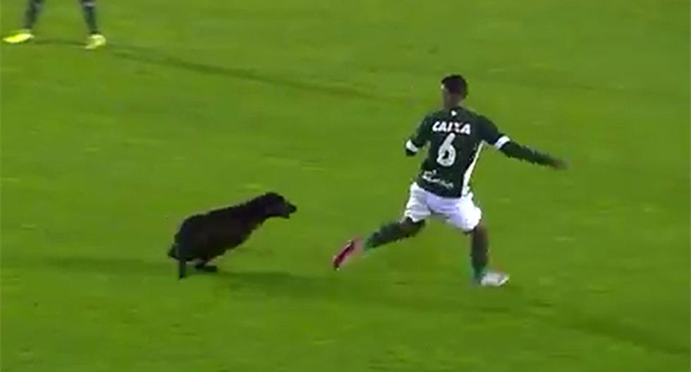 Un hecho insólito registrado en YouTube sucedió en el partido entre Goiás y Brasil de Pelotas en la Segunda División brasileña. Un perro se puso a perseguir a un jugador en pleno juego. (Foto: Captura - YouTube)